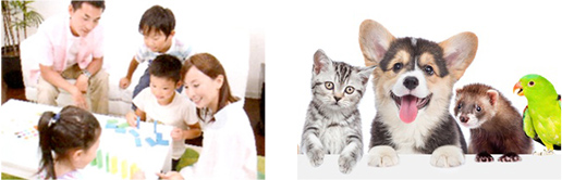 ペットの臭いや、パルポウィルスやO-157等による病気が心配