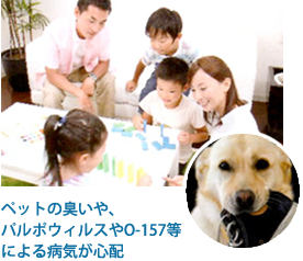 ペットの臭いや、パルポウィルスやO-157等による病気が心配